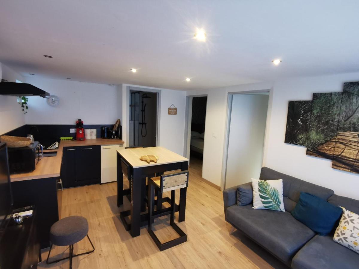 Gite 2 Chambres Avec Piscine Sernhac Екстер'єр фото